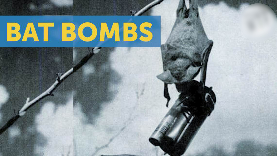 مخطط لاستخدام قنابل الخفافيش في مهاجمة المدن اليابانية في الحرب العالمية الثانية - المصدر: ريبلي