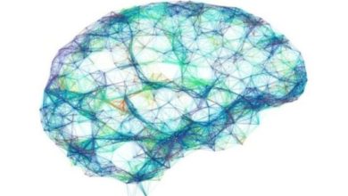 استخدم العلماء خوارزميات تهدف إلى تحويل أنماط الدماغ إلى جمل في نفس الوقت