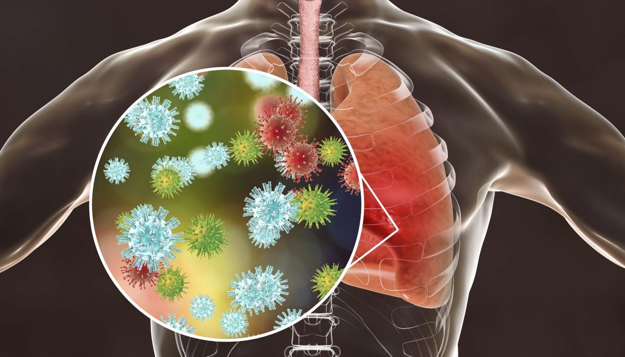 التنفسي covid-19 الجهاز فيروس على الهوائية الشعب يؤثر وتحديداً كورونا على ماذا يحدث