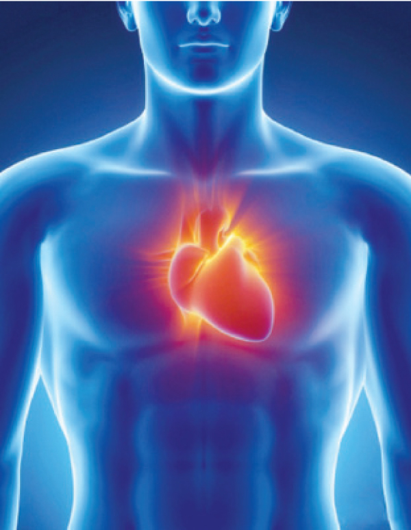 علامات تدل على احتمالية وجود مرض في القلب – جريدة الغد
