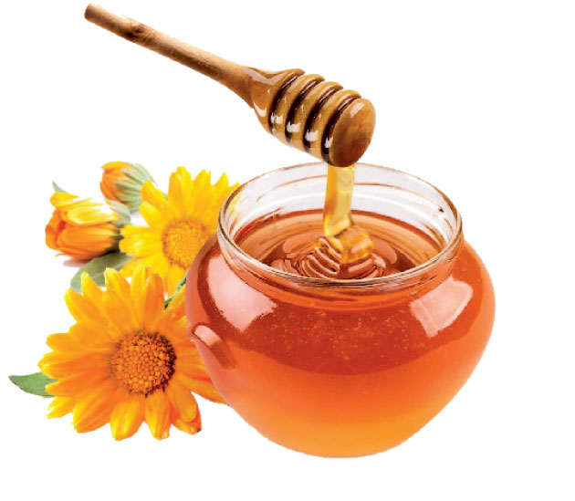 ما الفرق بين العسل والسكر؟ - جريدة الغد